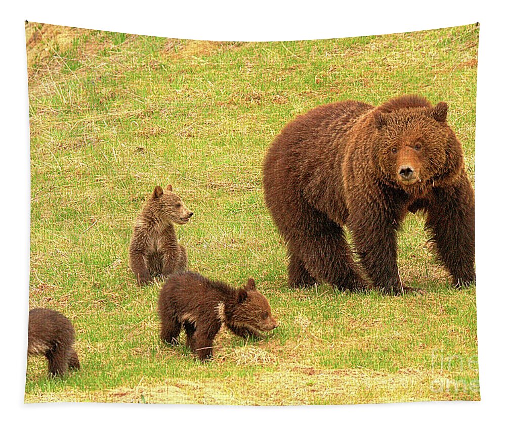 Grizzly Tapestry featuring the photograph Grizzly Mom And Her Triplets by Adam Jewell