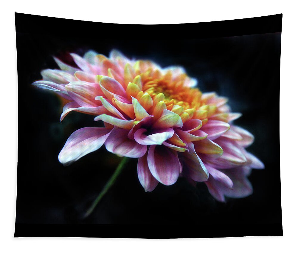 Chrysanthemum Tapestry featuring the photograph Chrysanthemum Glow by Jessica Jenney