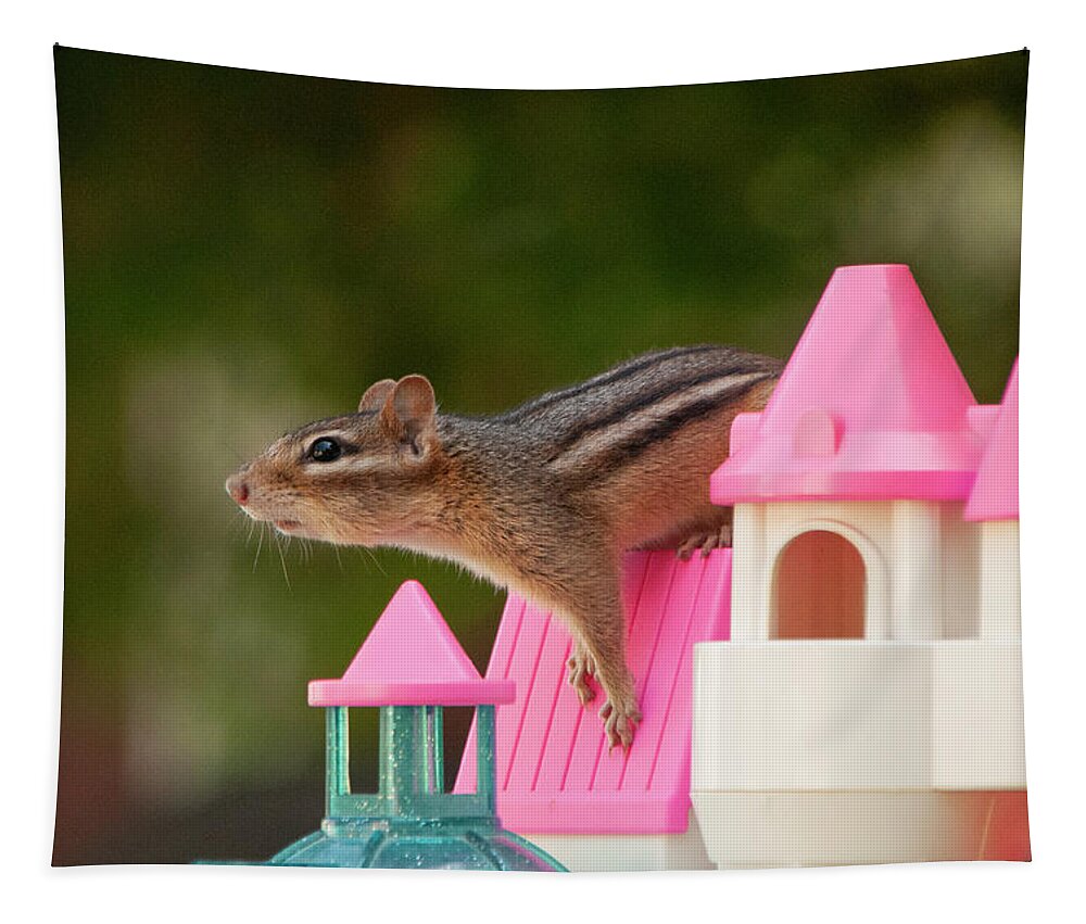 Chipmunk Tapestry featuring the photograph Guard on the castle tower by Lieve Snellings
