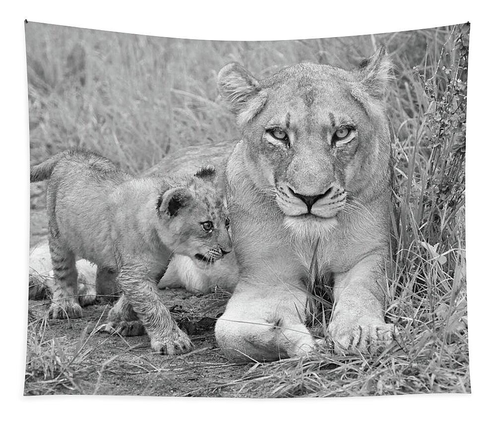 Lion Tapestry featuring the photograph Guardian in Black and White by Rebecca Herranen