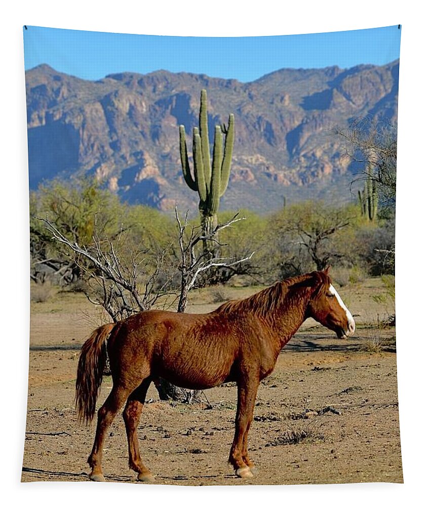 Salt River Wild Horse Tapestry featuring the digital art Guarding by Tammy Keyes
