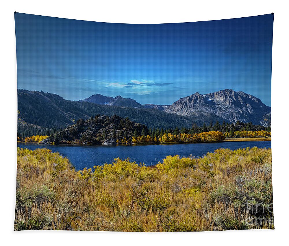 Eastern Sierras Tapestry featuring the photograph Gull Splendor by Marco Crupi