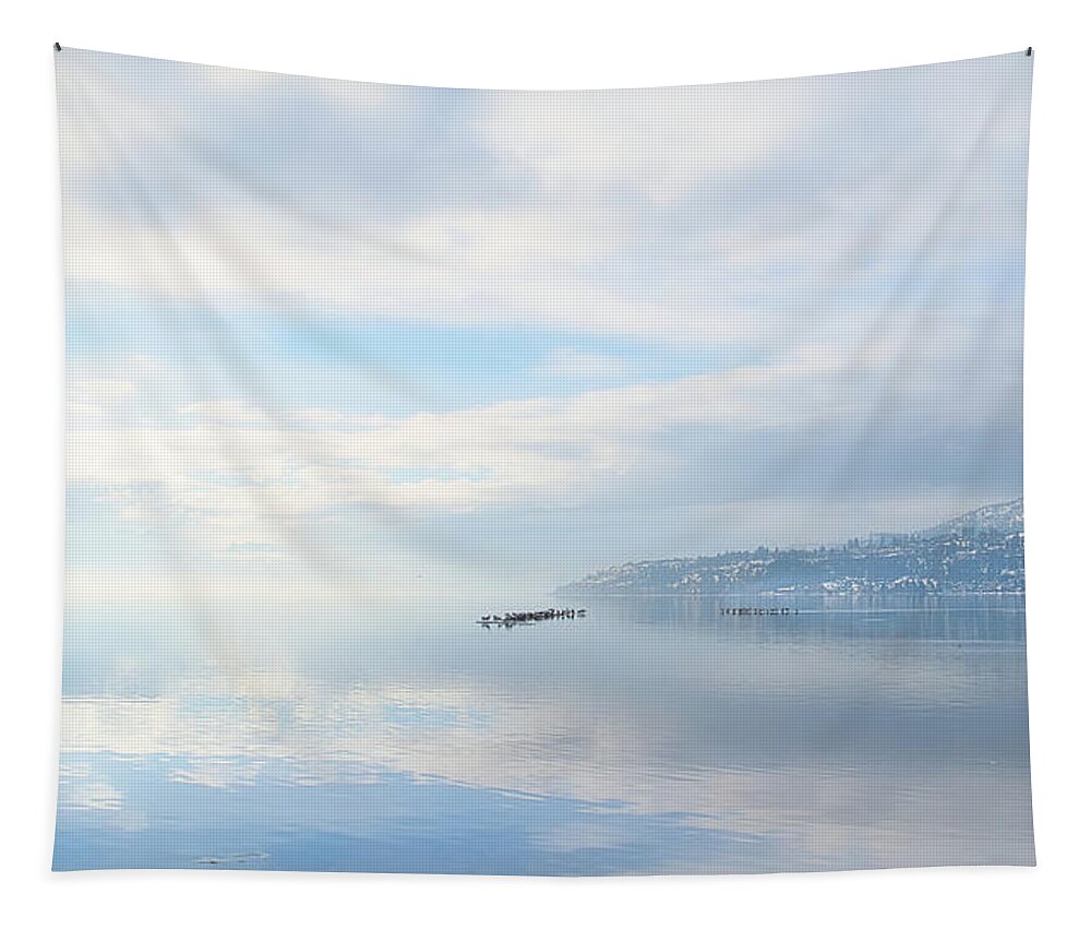 Landscape Tapestry featuring the photograph Gulls and Reflection in Winter by Allan Van Gasbeck
