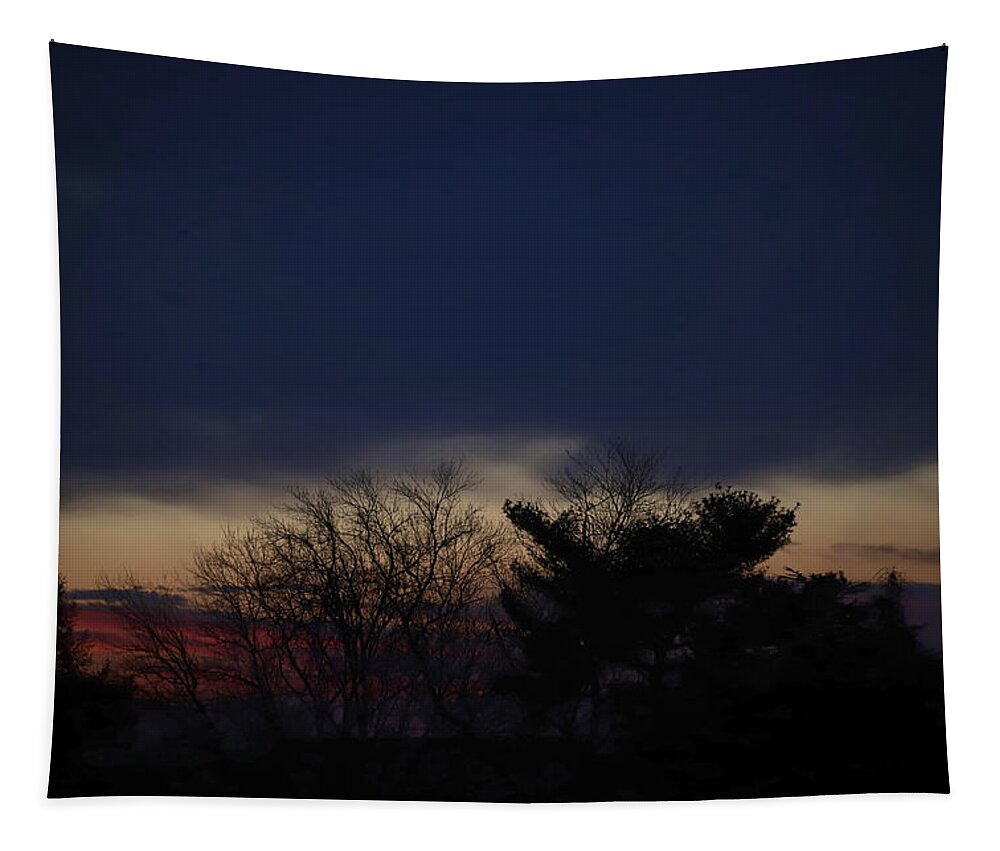 Morning Tapestry featuring the photograph Half and Half Morning Twilight February 20 2021 by Miriam A Kilmer