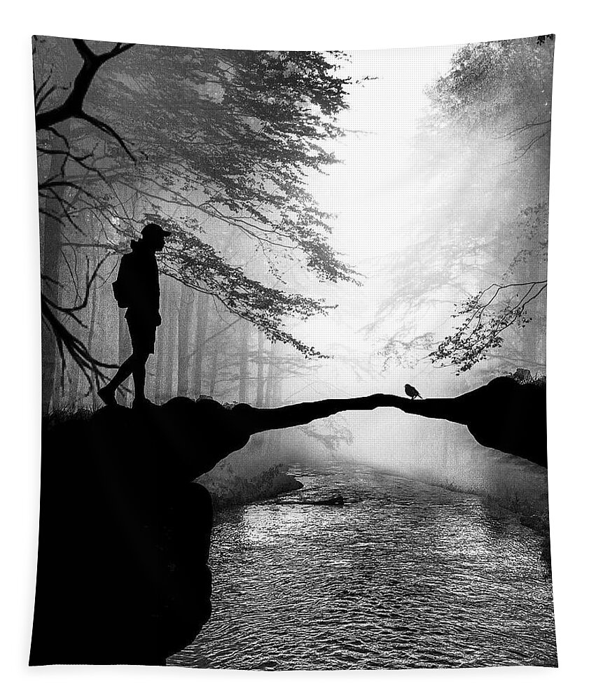 Fine Art Tapestry featuring the photograph Half Way by Sofie Conte