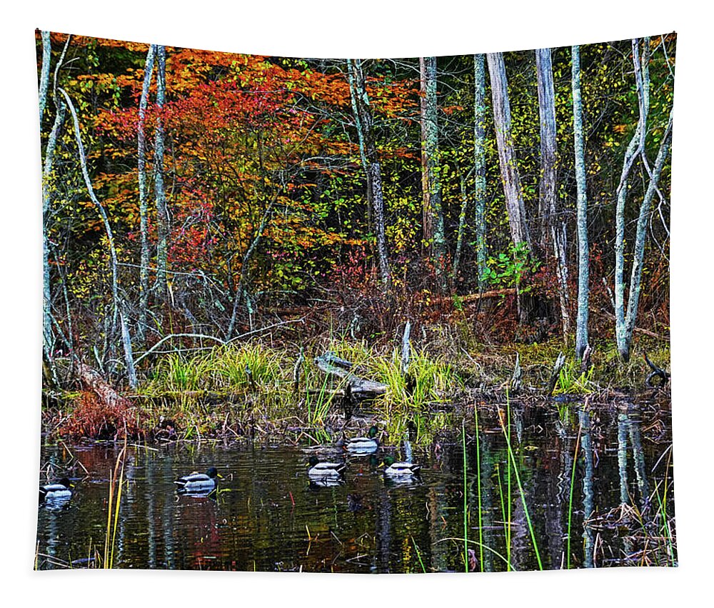 Hamilton Tapestry featuring the photograph Hamilton MA Bradley Palmer State Park Ducks Autumn Fall by Toby McGuire