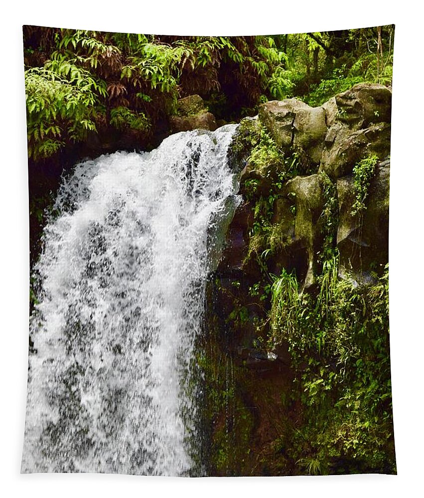 Aloha Tapestry featuring the photograph Puaa Kaa State Wayside Park Water Fall ,Hana,Maui by Bnte Creations