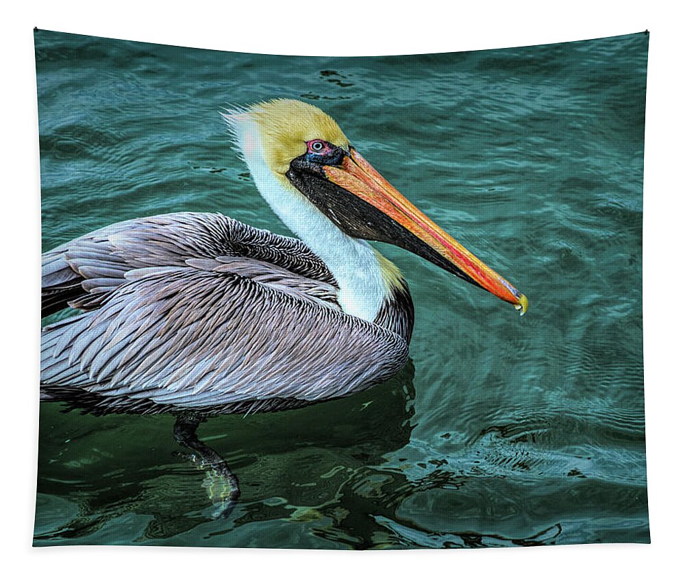Birds Tapestry featuring the photograph Handsome Pelican by Debra and Dave Vanderlaan