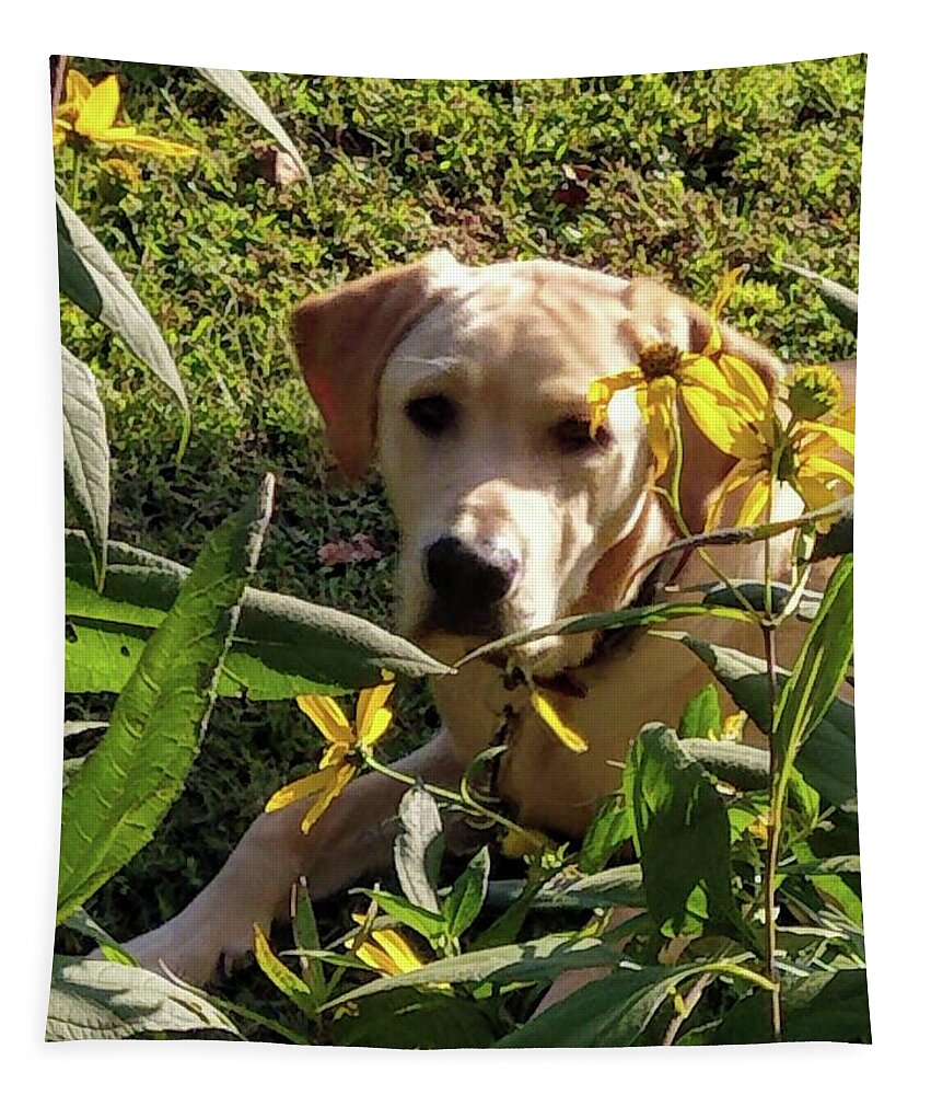 Yellow Lab Tapestry featuring the photograph Hanging with the Maxamillians by Kim Galluzzo Wozniak