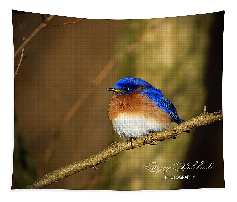 Eastern Bluebird Tapestry featuring the photograph Happiness by Mary Walchuck