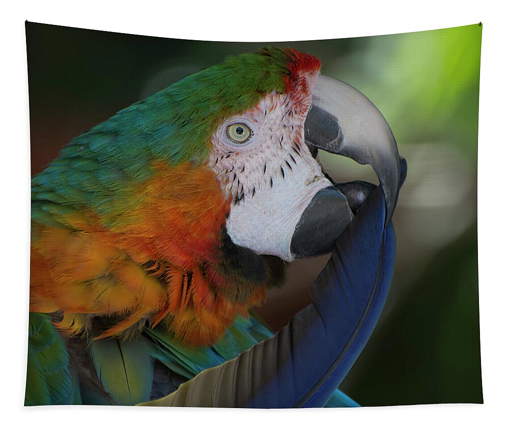 Bird Tapestry featuring the photograph Harlequin Macaw by Carolyn Hutchins