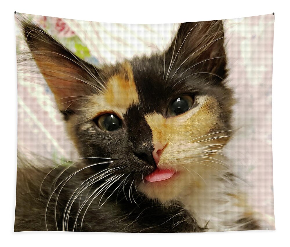 Kitten; Cute Kitten; Cat; Cute Cat; Tortoiseshell; Calico; Cute; Animal; Pet; Funny; Tongue; Silly; Happy; Square Tapestry featuring the photograph Harlequin by Tina Uihlein