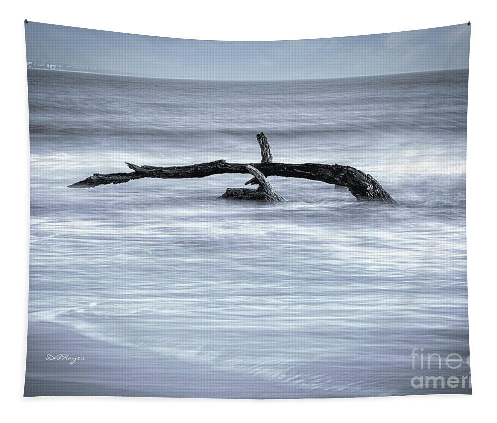 Nature Tapestry featuring the photograph Harmonious Driftwood II by DB Hayes