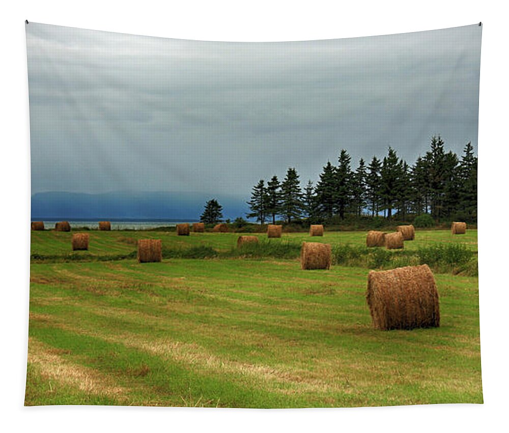 Hay Field Tapestry featuring the photograph Harvest time in Canada by Tatiana Travelways