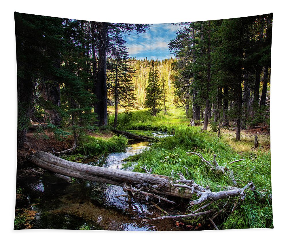 Hiking Tapestry featuring the photograph Hat Creek Paradise by Mike Lee
