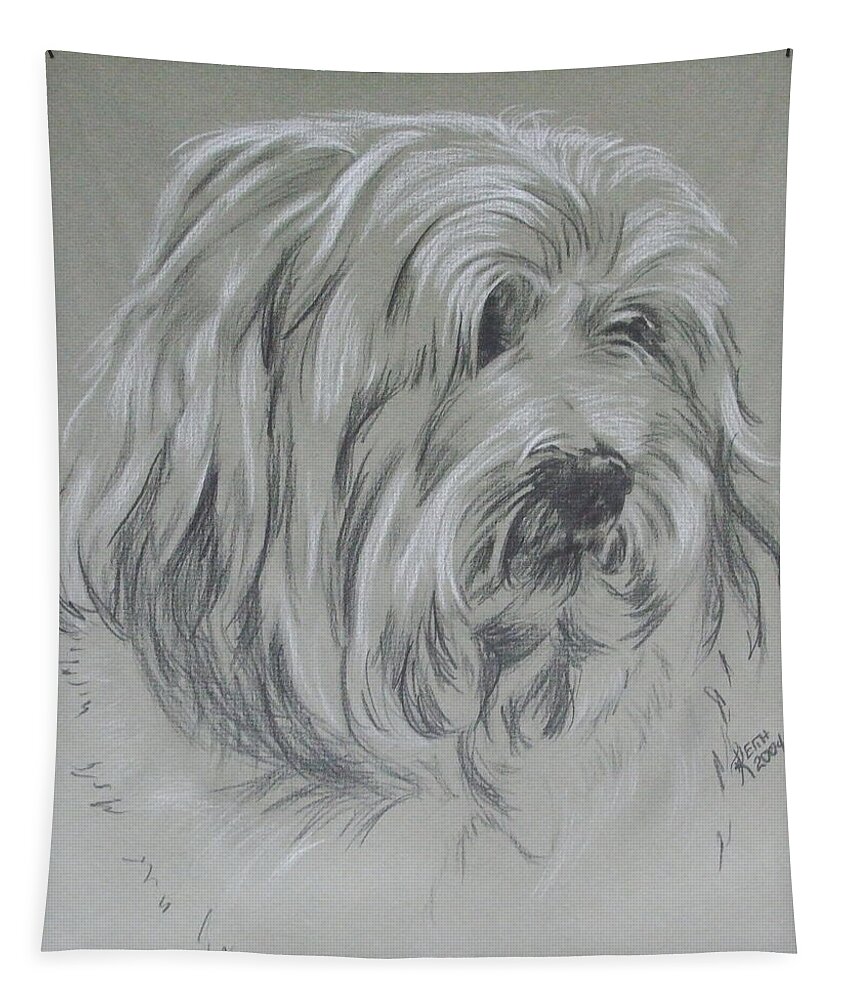 Toy Breed Tapestry featuring the drawing Havanese Portrait in Graphite by Barbara Keith
