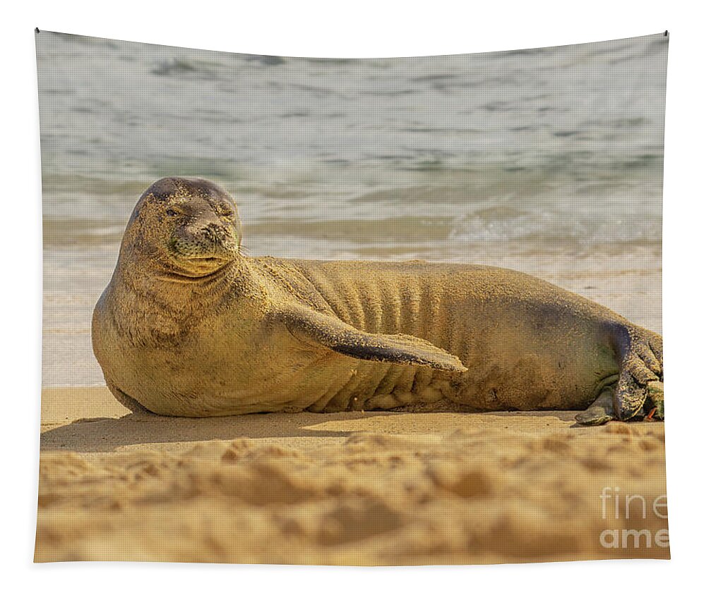 Animal Tapestry featuring the photograph Hawaiian Monk Seal Portrait by Nancy Gleason