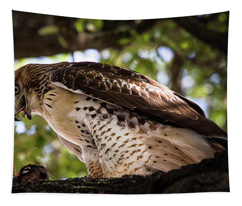 Hawk Tapestry featuring the photograph Red-Tail Hawk With Prey by Rene Vasquez