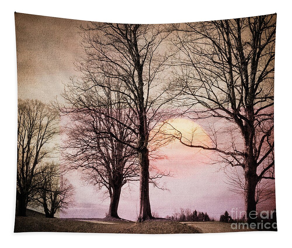 Nag005632 Tapestry featuring the digital art Heading for the Light by Edmund Nagele FRPS