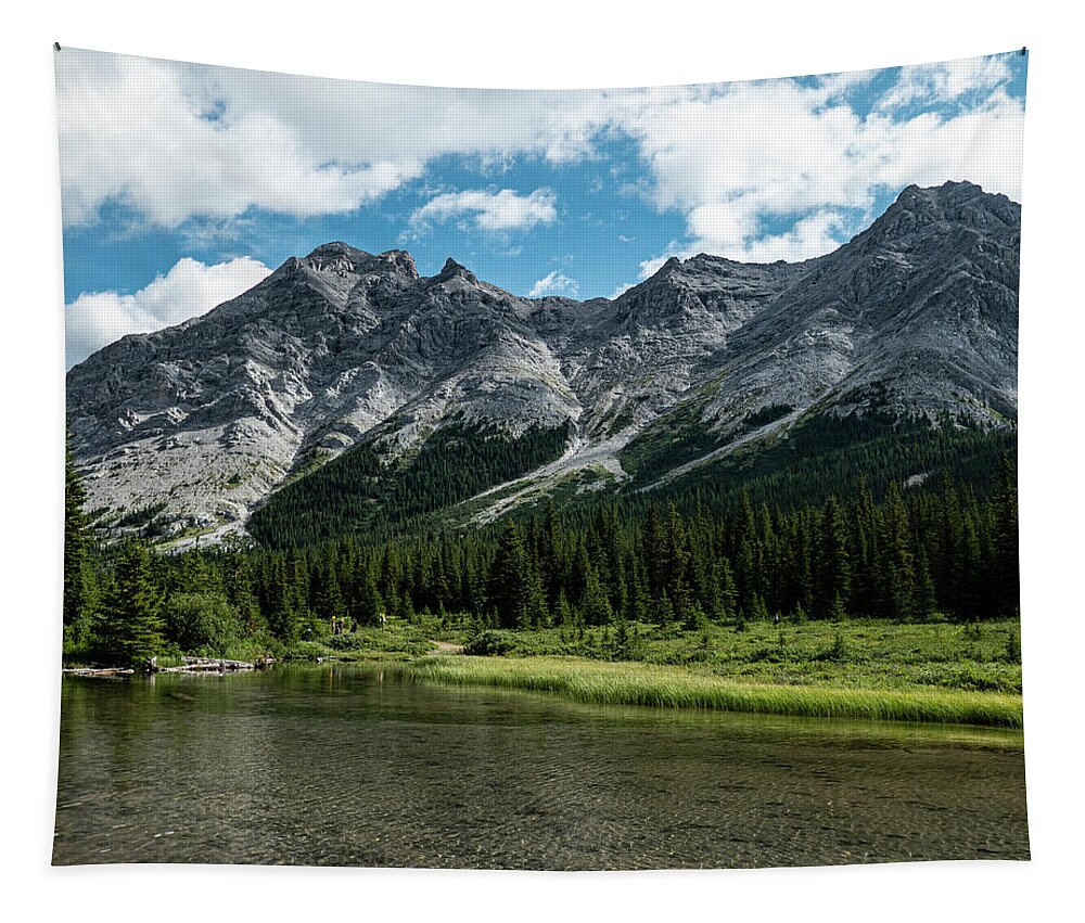 River Tapestry featuring the photograph headwaters of the Elbow River by Karen Rispin