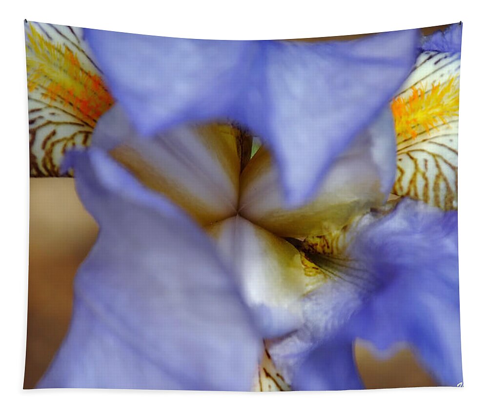 Flower Tapestry featuring the photograph Heart of the Iris by Vallee Johnson