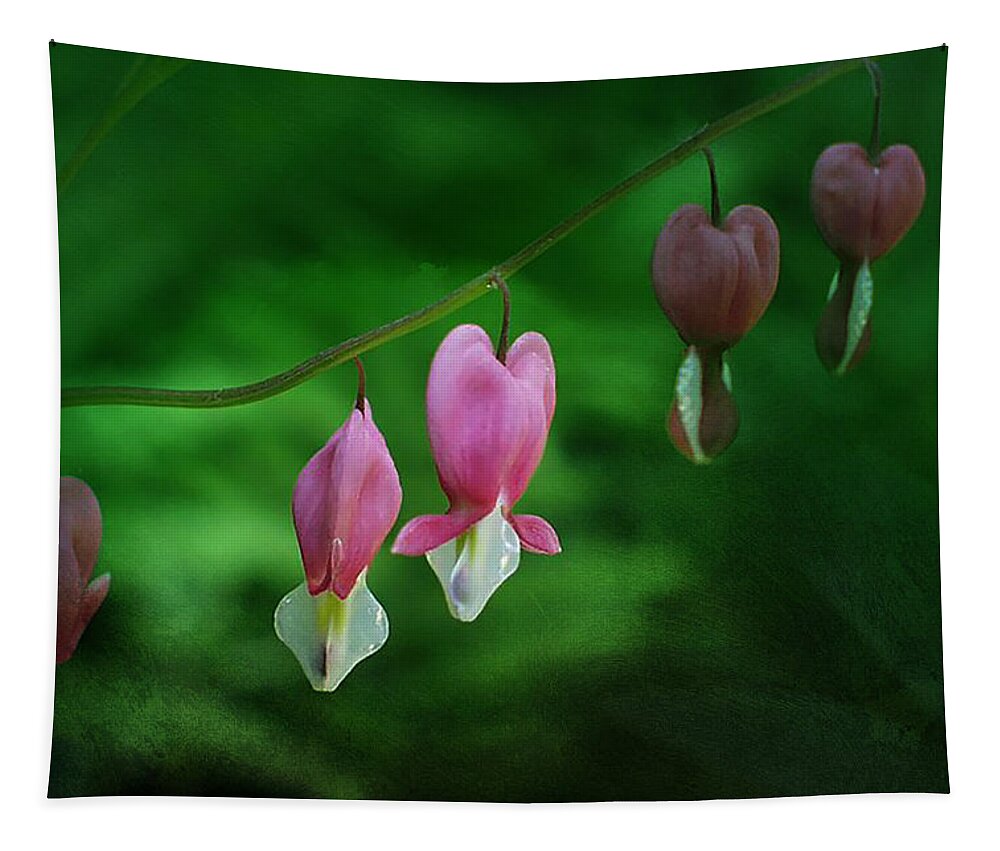 Dicentra Tapestry featuring the photograph Hearts of Spring by Moira Law