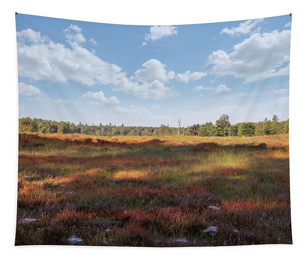 Heathland Landscape Tapestry featuring the photograph Heathland landscape by MPhotographer