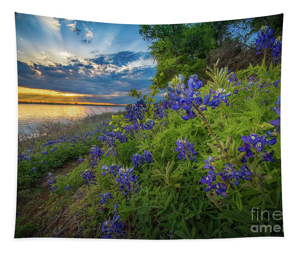 America Tapestry featuring the photograph Heavenly Flower Mound by Inge Johnsson
