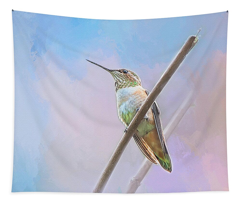 Bird Tapestry featuring the photograph Heavenly Hummingbird by Theresa Tahara