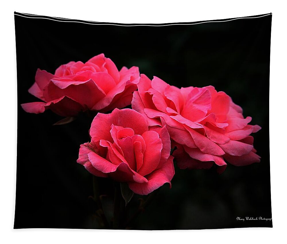 Rose Tapestry featuring the photograph Heavenly Roses by Mary Walchuck