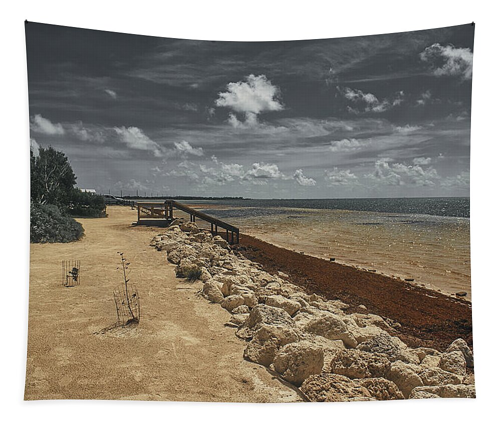 Landscape Tapestry featuring the photograph Heavy Sargassum on the Atlantic by Portia Olaughlin