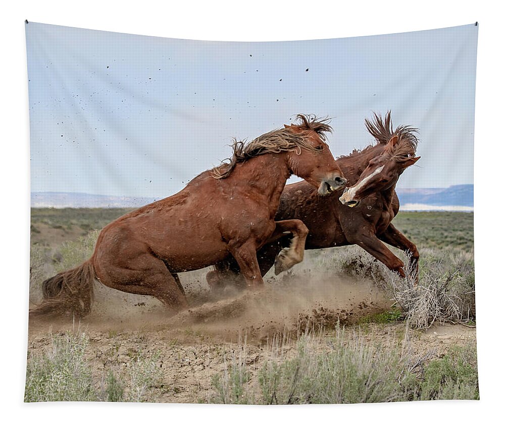 Wild Mustangs Tapestry featuring the photograph Heavy Weights #1 by Mindy Musick King