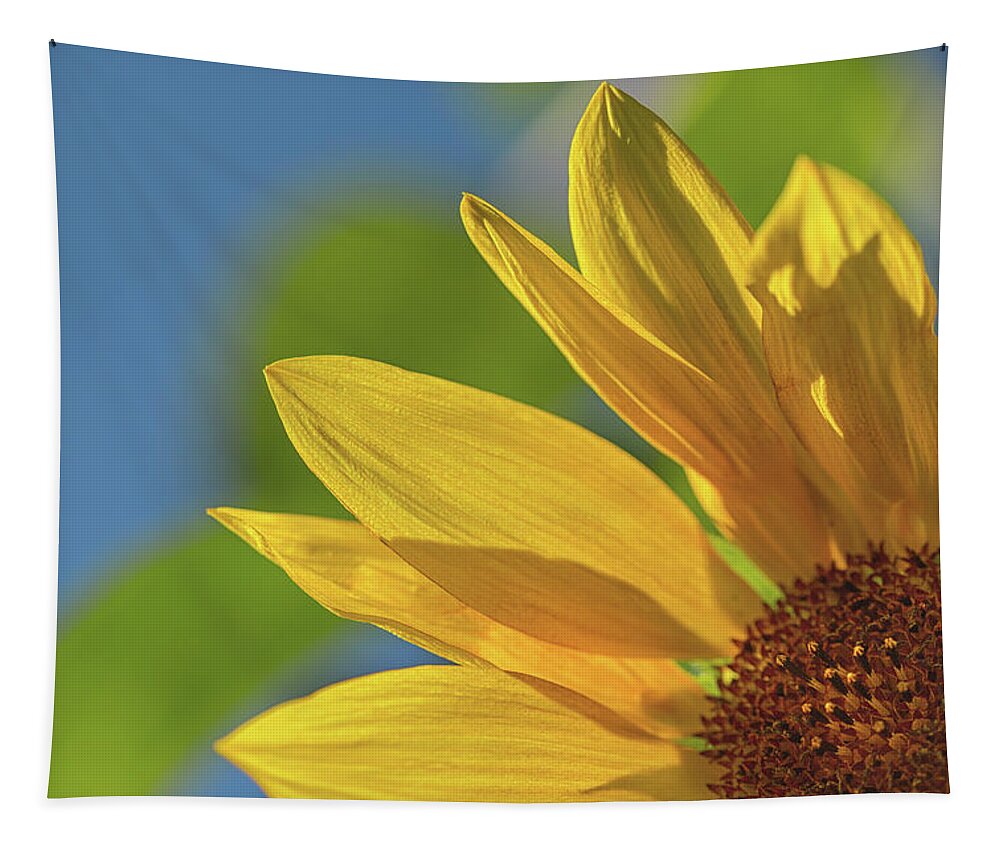 Sunflower Tapestry featuring the photograph Hello summer by Kunal Mehra