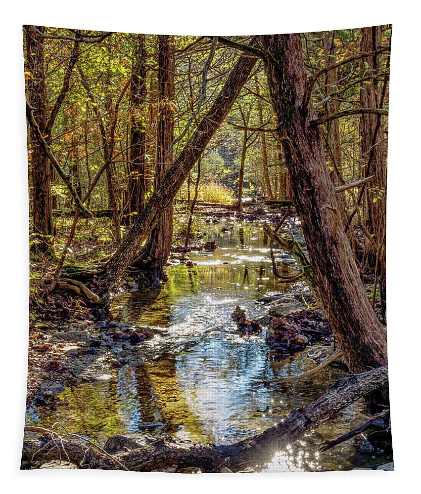 Ruth And Paul Henning Conservation Area Tapestry featuring the photograph Henning Conservation Woody Creek by Jennifer White