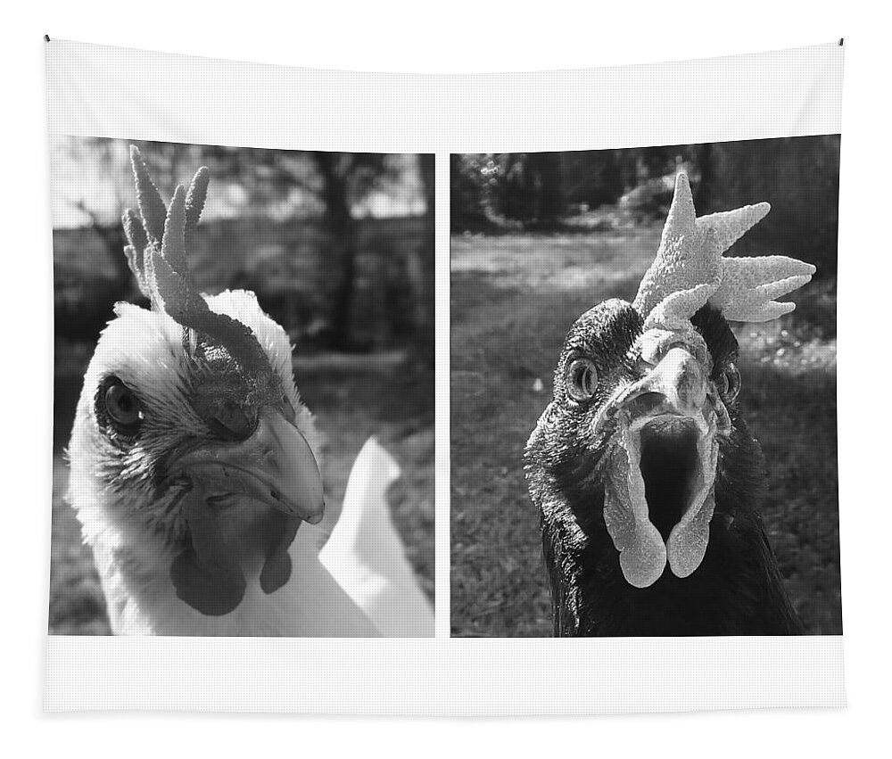 Hello Tapestry featuring the photograph Hens Hello by Joelle Philibert