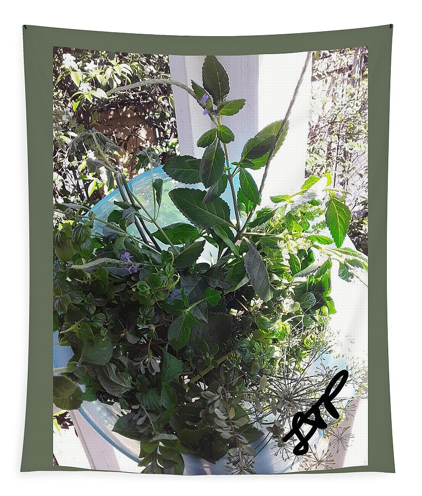 Herbs Tapestry featuring the photograph Herbal Bouquet by Esoteric Gardens KN