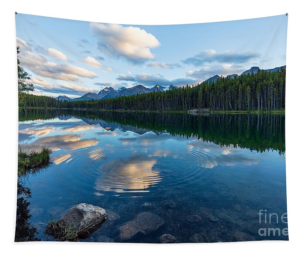 Photography Tapestry featuring the photograph Herbert Lake Ripples and Rock by Alma Danison