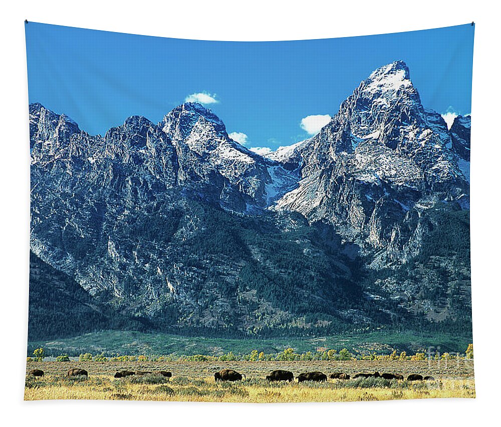 Dave Welling Tapestry featuring the photograph Herd Of Bison Teton Range Grand Tetons National Park Wyoming by Dave Welling