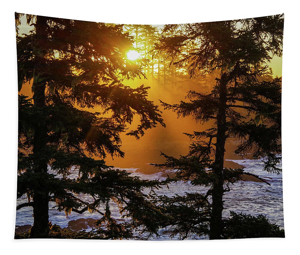 Sunrise Tapestry featuring the photograph Here comes the sun by Stephen Sloan