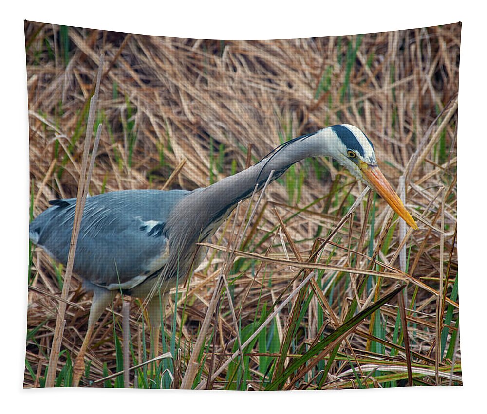 Heron Tapestry featuring the photograph Heron 3 by Steev Stamford