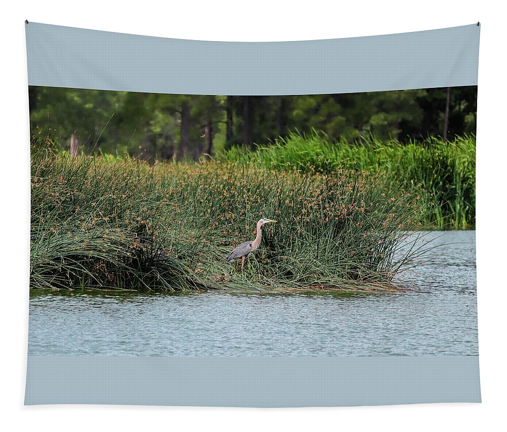 Heron Tapestry featuring the photograph Majestic by Laura Putman