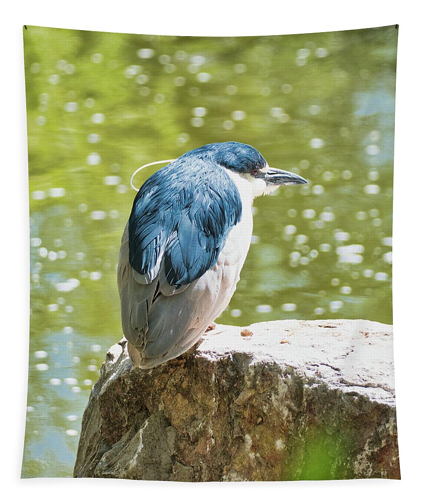 Animals Tapestry featuring the photograph Heron by Segura Shaw Photography