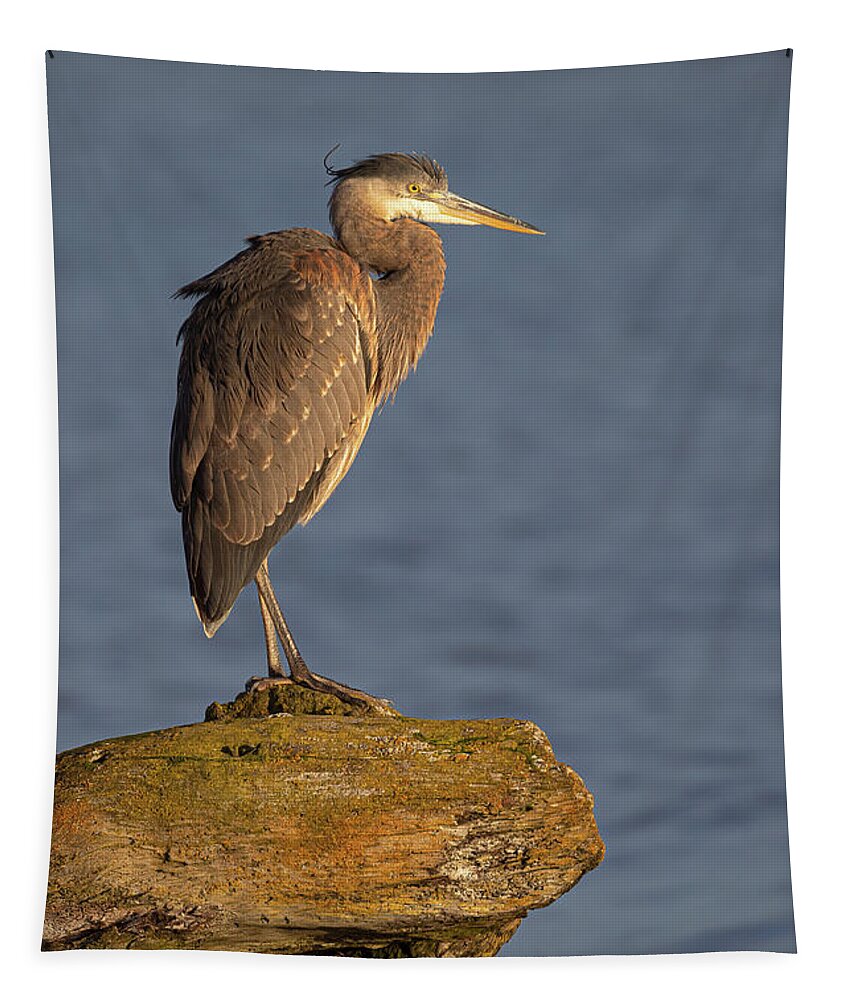 Blue Heron Tapestry featuring the photograph Heron Sunset Vertical by Michael Rauwolf