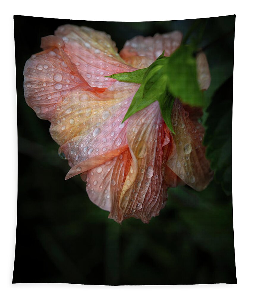 Bloom Tapestry featuring the photograph Hibiscus After Rain by M Kathleen Warren