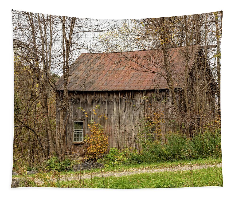 Barn Tapestry featuring the photograph Hidden Away by Rod Best