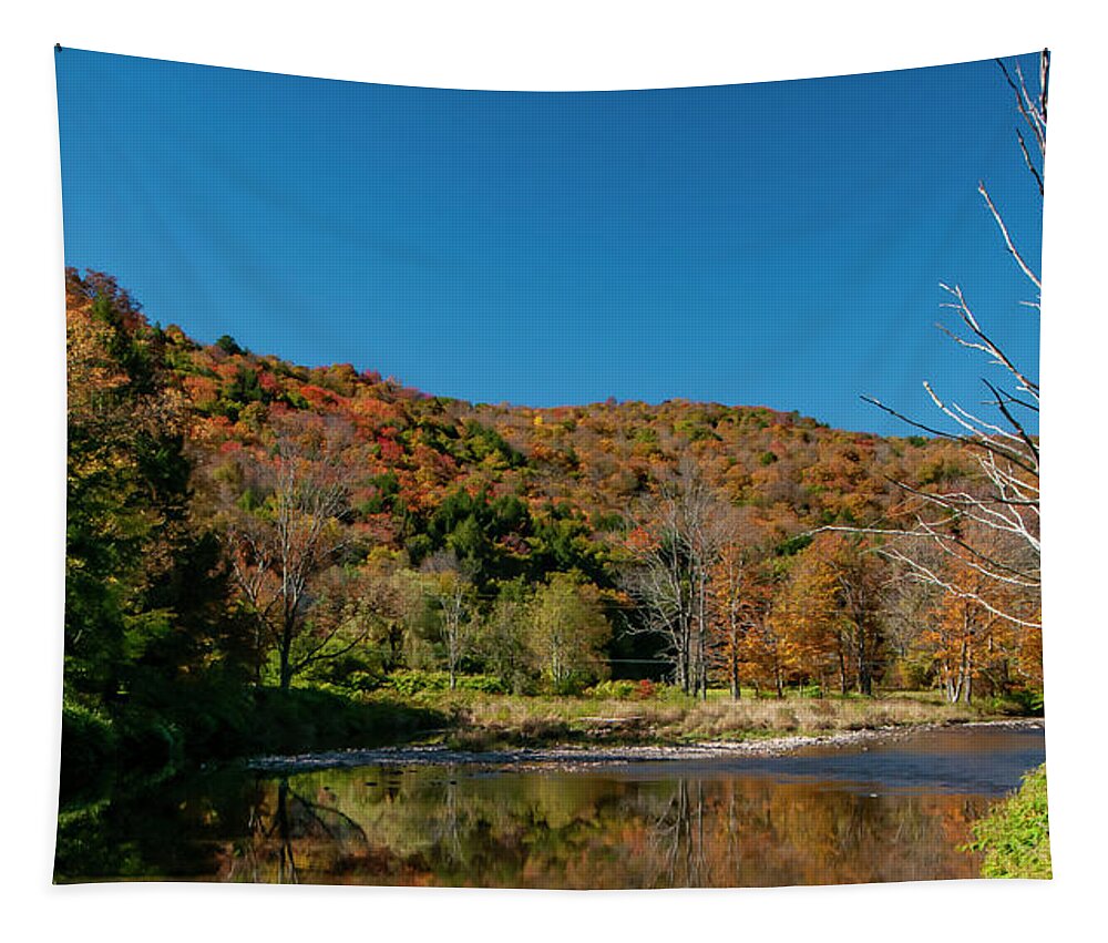Autumn Tapestry featuring the photograph Hidden Pond by Cathy Kovarik