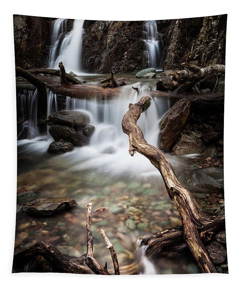 Waterfall Tapestry featuring the photograph Hidden Waterfall by Anita Nicholson