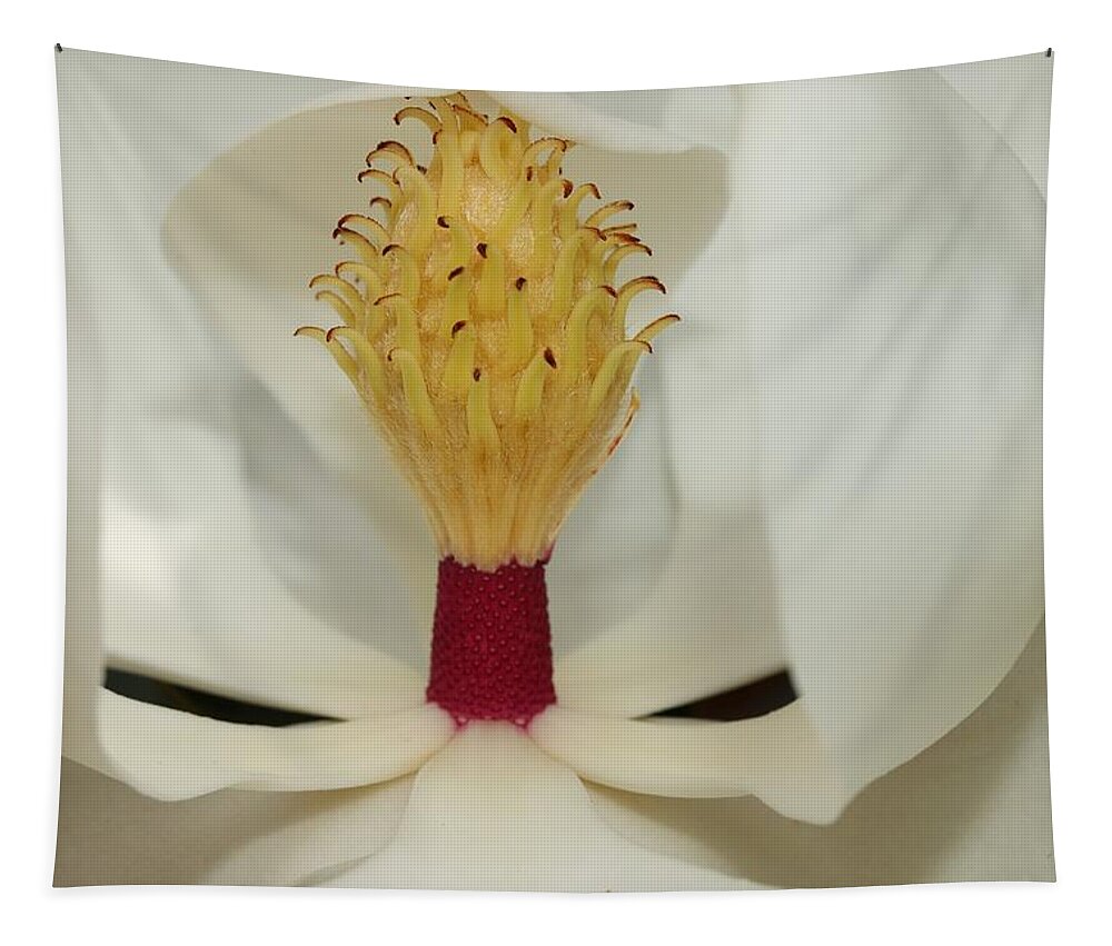 Magnolia Flower Tapestry featuring the photograph Hidden Wonder 2 by Mingming Jiang