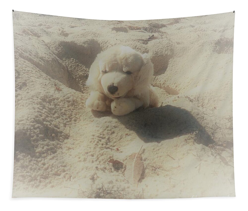 Toy Tapestry featuring the photograph Hide and Seek , at the Beach   by Julie Grimshaw