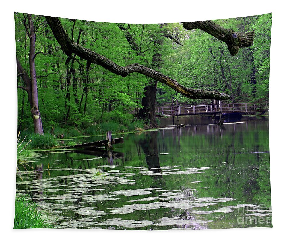 Pond Tapestry featuring the photograph Hiden Place by Paula Guttilla